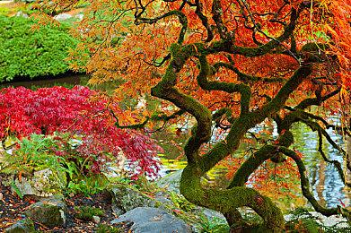 日本实体月榜：任天堂Switch三月重登游戏机销量榜首