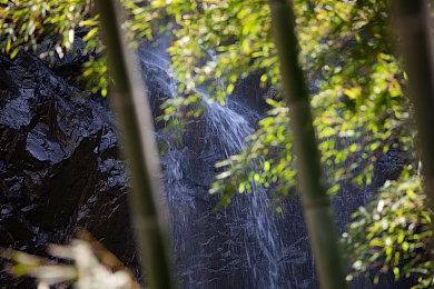 V社注册了新商标：NEON PRIME