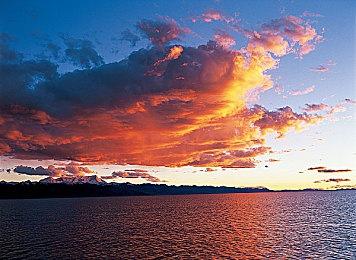 真人互动式电影《无法抗拒的他们》Steam页面上线 2024年发售