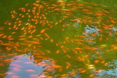 《战神：诸神黄昏》首日补丁发布 官方强烈建议玩家下载后再玩